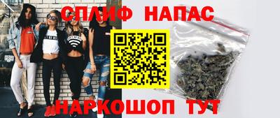 трава Сланцы