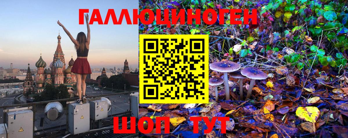 Псилоцибиновые грибы мухоморы Рославль